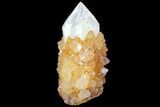 Sunshine Cactus Quartz Crystal - South Africa #80173-2